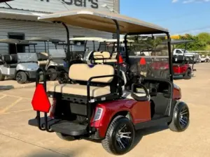 Custom 2017 E Z GO RXV Golf Cart (1)