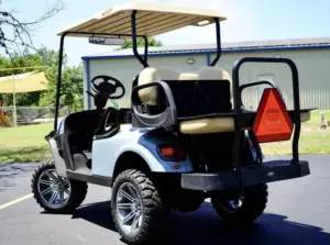 Used 2019 E Z GO Freedom TXT Gas EFI Golf Cart (3)