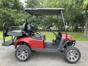 Used 2019 E Z GO Freedom TXT Gas Golf Cart (3)