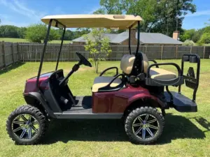 Used Seal Brown 2019 E Z GO TXT EliTe Golf Cart (1)