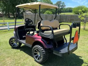 Used Seal Brown 2019 E Z GO TXT EliTe Golf Cart (3)