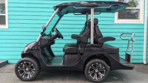 2022 Evolution D3 Lithium Ion Black Golf Cart1