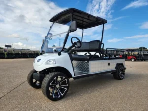 2024 EVolution Turfman 1000 Plus Golf Cart9