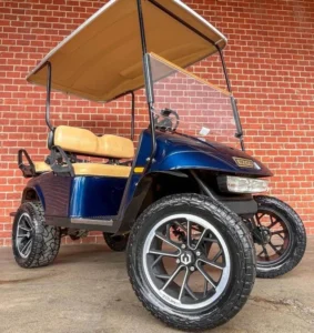 2008 E Z GO PDS 36v Golf Cart1