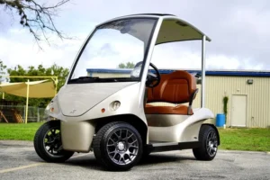 2011 Garia 2 Seater golf cart6