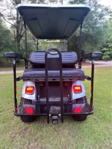 2015 E Z GO Txt 48v Freedom Golf Cart5