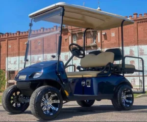 2016 EZGO TXT 48V Golf Cart1