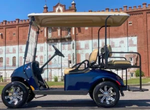 2016 EZGO TXT 48V Golf Cart3