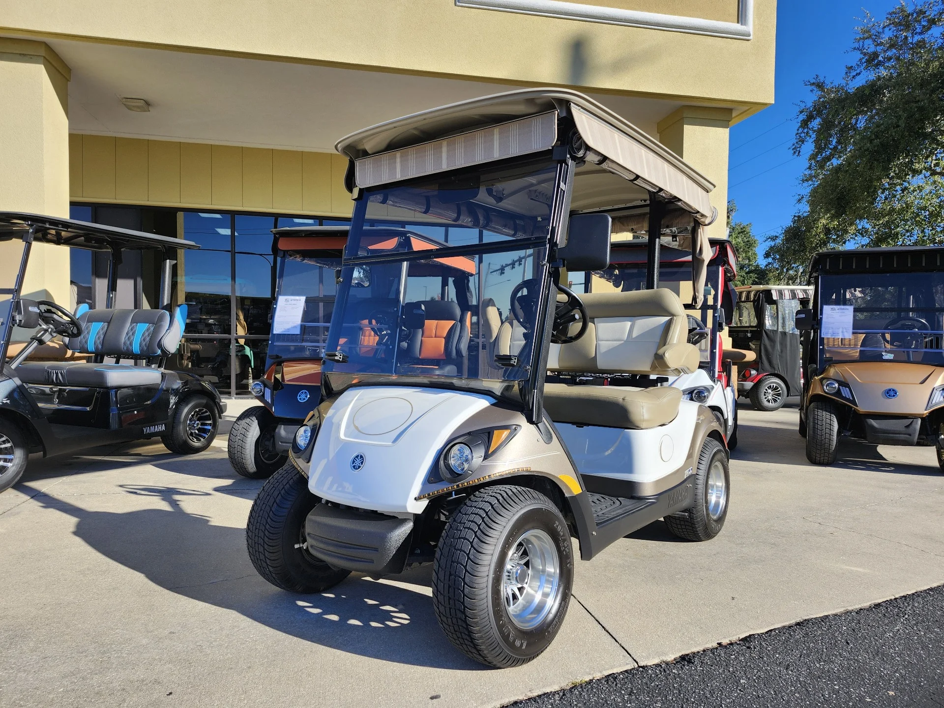 2016 Yamaha Drive 2 Golf Cart