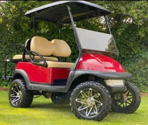 2018 Club Car Precedent 48V Golf Cart for Sale1