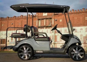 2018 Yamaha Drive 2 Gas Golf Cart2