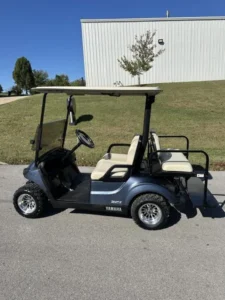 2020 Yamaha Golf Car Drive2 EFI QUIETECH GAS1