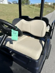 2020 Yamaha Golf Car Drive2 EFI QUIETECH GAS4