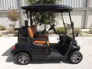 2022 Advanced EV AEV 2 Golf Cart2