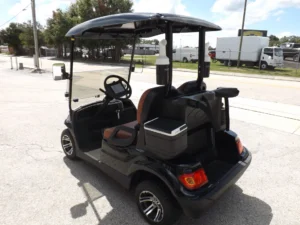 2022 Advanced EV AEV 2 Golf Cart4