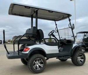 2022 Advanced EV EV1 4L Golf Cart2