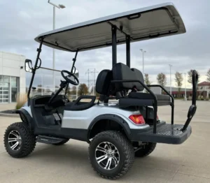 2022 Advanced EV EV1 4L Golf Cart3