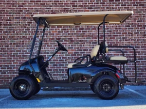 2022 E Z GO Valor 48V Golf Cart3