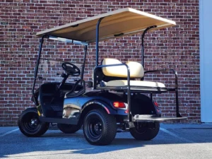 2022 E Z GO Valor 48V Golf Cart5