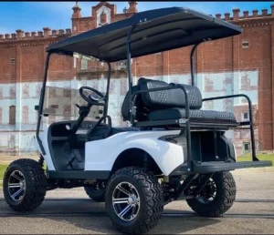 2023 Navitas FSK Lithium Golf Cart3