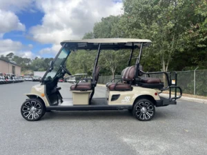 2023 Tomberlin E4 SS Saloon Golf Cart5