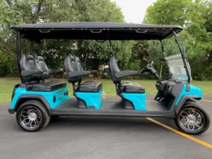 2024 EVolution D5 Ranger 6 Golf Cart2