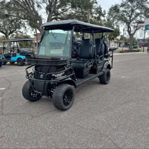 2025 EPIC e60L Golf Cart