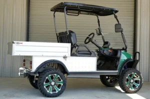 2025 EVolution Turfman 800 Plus Golf Cart5