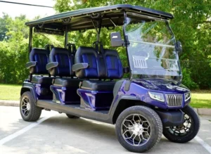 Blue 2024 EVolution D5 Ranger 6 Golf Cart4