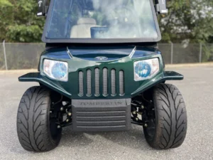 Green 2023 Tomberlin Saloon Golf Cart3