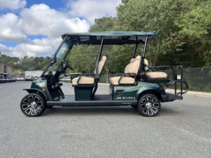 Green 2023 Tomberlin Saloon Golf Cart5