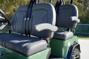 Green 2025 Denago EV Rover XL Golf Cart5