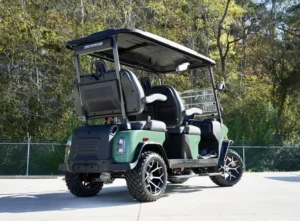 Green 2025 Denago EV Rover XL Golf Cart9