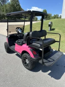 Pink 2021 Yamaha Drive2 EFI Quietech Gas4