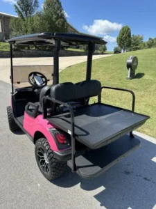 Pink 2021 Yamaha Drive2 EFI Quietech Gas6