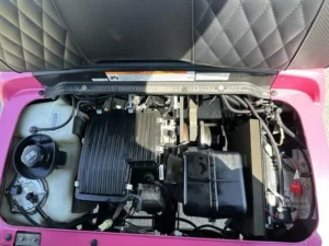 Pink 2021 Yamaha Drive2 EFI Quietech Gas9