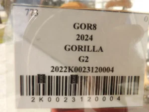 Red 2024 GORILLA G2 LI 2 Pass Lithium Golf Cart18