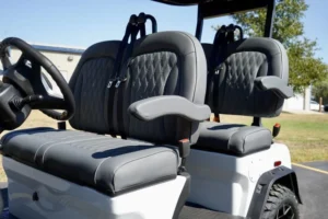 White 2024 Denago EV Rover XL Golf Cart3